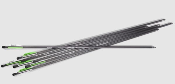 Benjamin Airbow Arrows