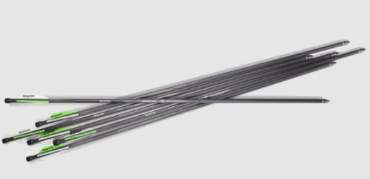 Benjamin Airbow Arrows
